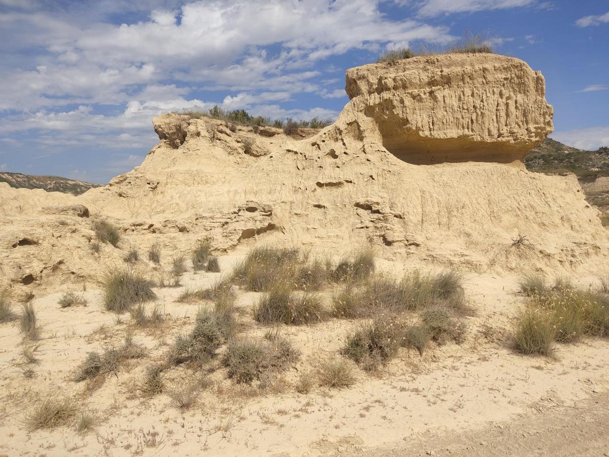 El Pinar De Bardena Villa Carcastillo Exteriör bild