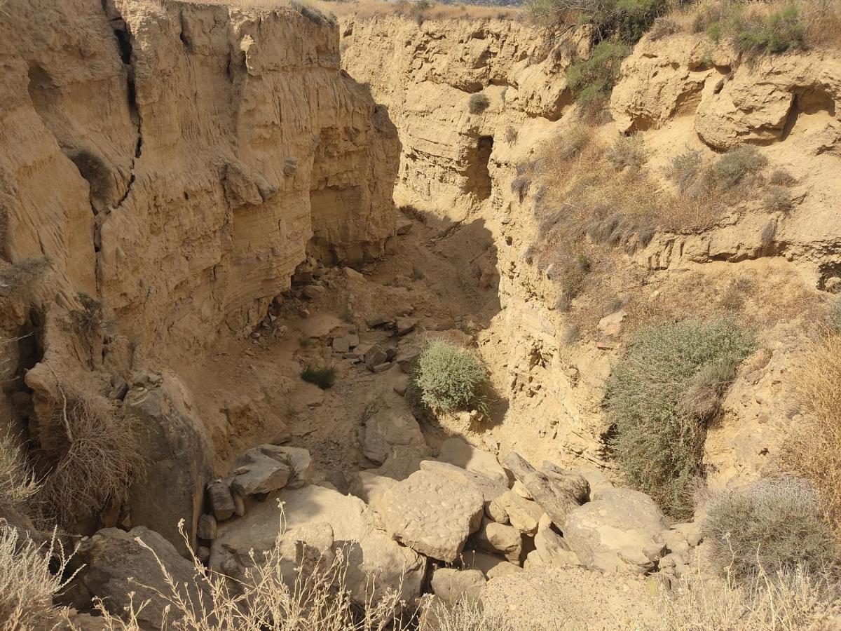 El Pinar De Bardena Villa Carcastillo Exteriör bild
